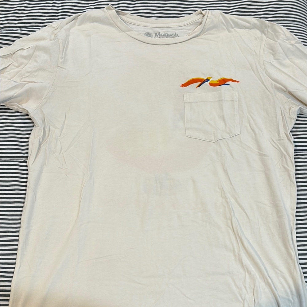 Mollusk T